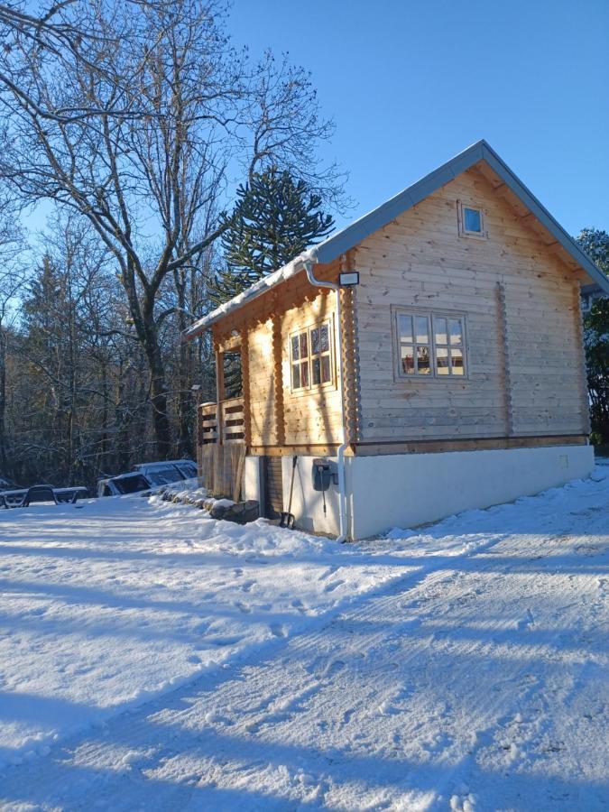 L'Oree Des Bois , Detente Et Calme . Mesigny Eksteriør billede